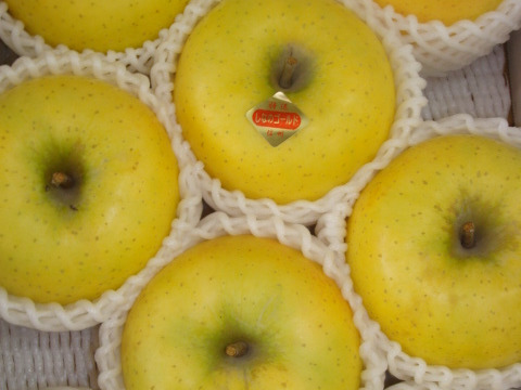 スマートフレッシュ　鮮度保持貯蔵　お徳用　信州オリジナルの黄色い林檎「シナノゴールド」　
訳あり　ご家庭専用　3キロコース