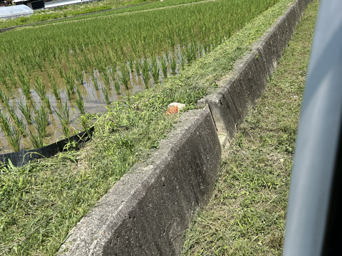 奈良県五條市産／柿名産地　ひとめぼれ米🌾