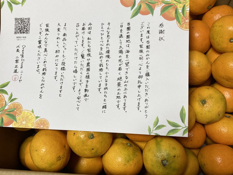 食べチョクで1番売れてるみかんです！】夕やけみかん（10
