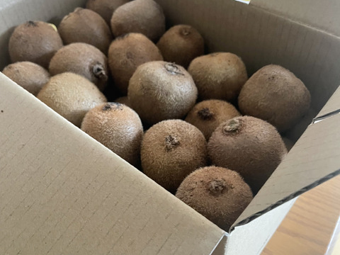 【数量限定・通常品の3割引き！】　　　　　　　ジューシーな果肉！安心安全の“有機JAS認証栽培”和歌山県古果園キウイフルーツ 《規格外品》 【たっぷり 3kg】