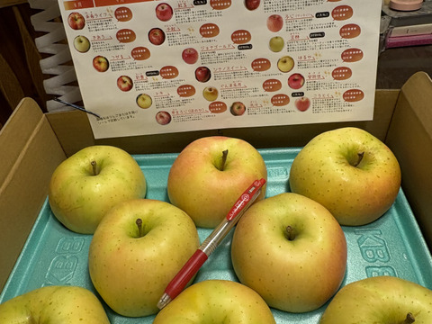 りんご様　　オーダー専用ページ すぐ発送🚚トキ🍏3kg 甘くジューシーな人気の黄りんご✨キズなし良品