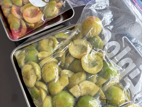 白加賀/青梅　自然栽培　農薬不使用、化学・動物性肥料不使用　☆Ｌサイズ以上２キロ