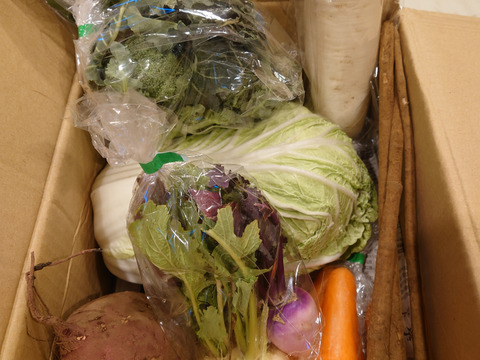 畑から直送! 野菜ソムリエ農家　旬のカラフル野菜セット(約7,8品目)