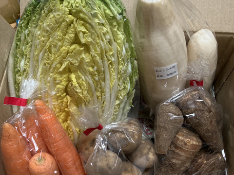 ♪食べきり♪『農薬、化学肥料不使用』【1~2人前】季節の野菜SSセット（5～6品）「群馬県高崎産」