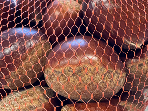 【新鮮生栗　無殺虫処理】栗の女王　人丸　3L(1kg)