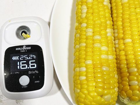 【渾身の出来】甘いとうもろこし（5~6個、約2kg）農薬・化学肥料不使用