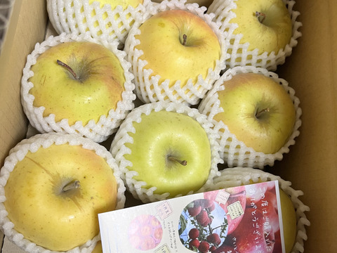 🍏売り尽くし🍏黄色りんご「もったいない」レスキュー便 【規格外品
