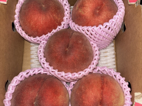 🍑桃の王様 川中島白桃 1.5kg 5玉前後 8月下旬 採れたて農家直送【朝
