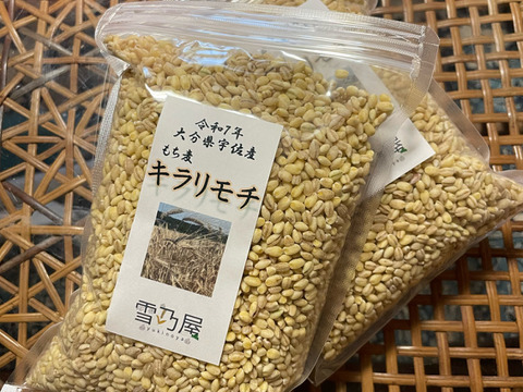 モチプチ食感　もち麦「キラリモチ」　1kg（500g×2袋）