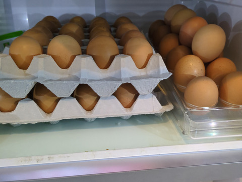 『西粟倉村育ちの平飼い有精卵60個トレー』　未利用資源の循環養鶏