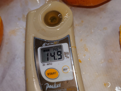 新品種☆ひぜんユース☆3.5キロ