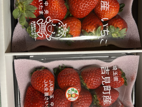 【希少あまりん】２パック(500g) 朝採れ🍓