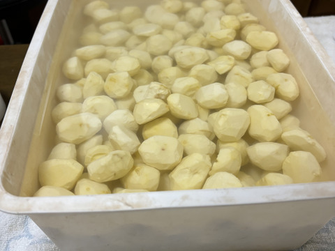 せきがはら × こだわり貯蔵(糖度20度越え) × 大粒じゃない栗(中粒・欠け栗)　＝  煌集まる・満願栗　(きらめき　あつまる・まんがんぐり)　
【冷凍むき栗　200g×2パック】