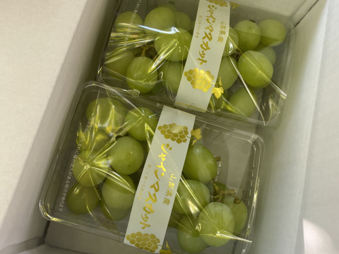 山梨県産シャインマスカット パック500g×2個：山梨県産の