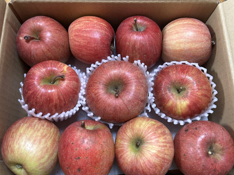 信州りんご🍎小玉４キロパック詰め