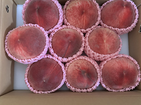 【優品】産地直送！硬めの桃（ご家庭用・3㎏）※品種：さくら【最終10箱限定】