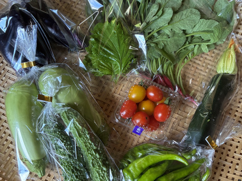 ギフトにも！小さな農家、旬のお野菜セット　8〜10品目熨斗対応可＜農薬、化学肥料不使用＞【冬ギフト】