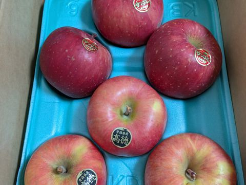 權之丞の葉取らずミックス！　🏆2025年りんごGP金賞受賞🎊葉取らず高徳&葉取らずサンふじ　家庭用2kg【5〜10個入り】