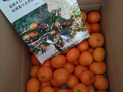 感動のみかん！防腐剤不使用S~Mサイズ5kg とみ子ばぁばの宮川早生みかん＜有田産>【夜市限定】