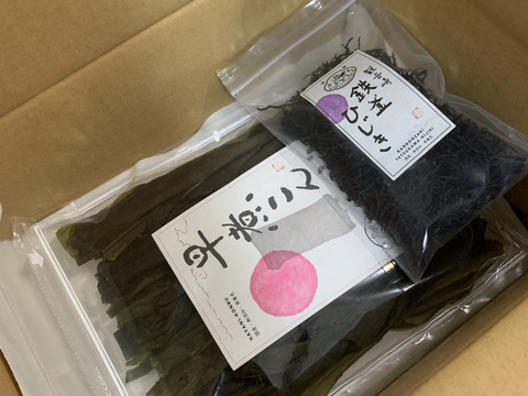 釣り人万歳で放映されました！昆布〆や漬物に観音崎産早煮こんぶ(70g)