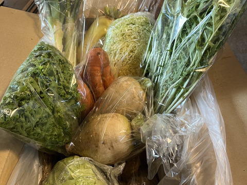 10日分の野菜！】旬の野菜セット10～12品【農薬・化学肥料不使用