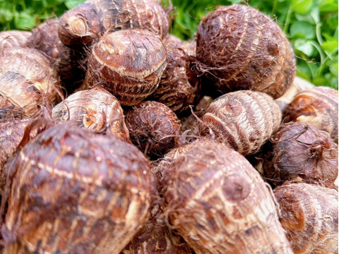 26日～28日発送‼️今年最後のお野菜セット‼️キャベツ入‼️