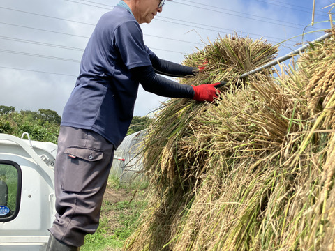 【令和７年産新米】稀少米★朝日玄米10kg・天日干し自然栽培