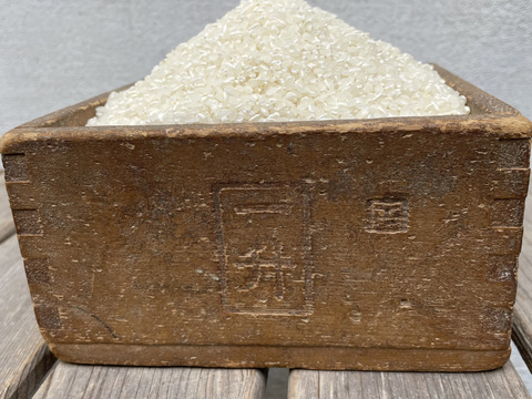 令和７年産山城産米　ヒノヒカリ　玄米　　１０kg