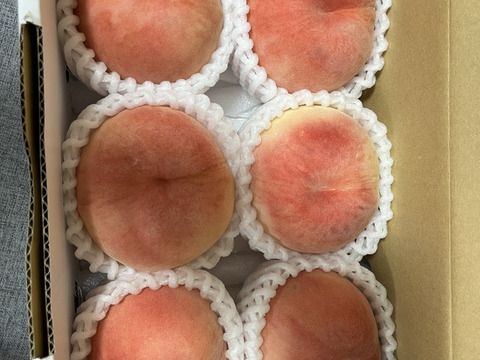 【お届けは8月中旬～】おどろき(おうち用)「驚きの硬さ!!」1.5kg(4～9玉)
