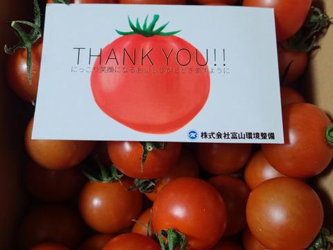 濃厚な旨味！酸味・甘味のバランス抜群！最高峰のミニトマト『フォレストフルティカ』1kg×1箱