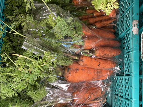 富士山麓！自然栽培の冬野菜たち10品+白米2ｋｇ