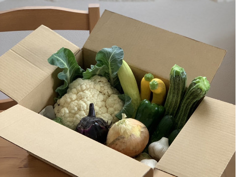 【野菜ボックス】6～8品目のセット販売