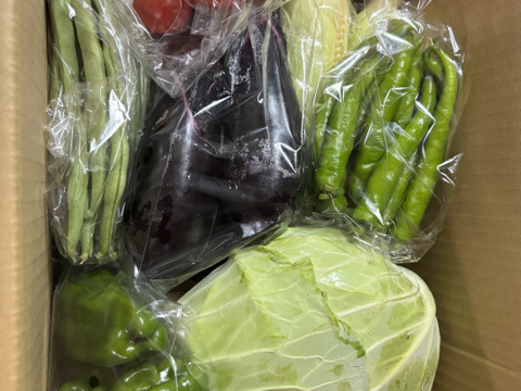 標高800mで育った高原野菜S(9-10品目)野菜セットS