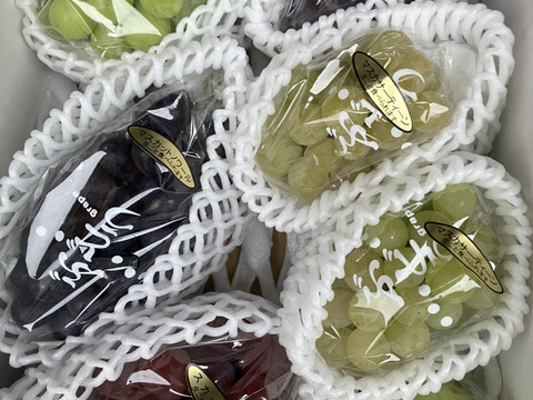 6種夢ぶどうセット　シャインマスカットと愉快な仲間たち　6種合計2.5キロ以上　富士の輝入！