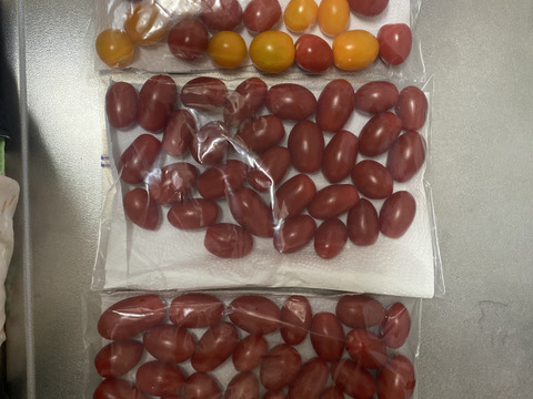 フルーツ級の甘さ！激あまミニトマト(アイコ）1kg