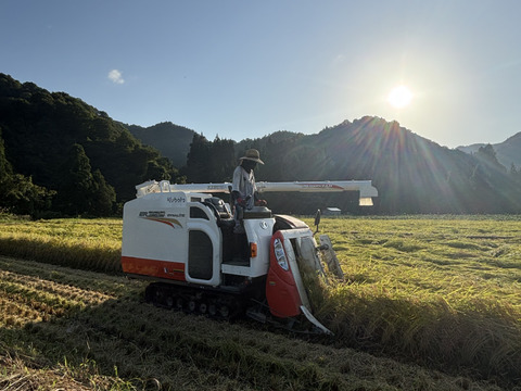 玄米  魚沼産コシヒカリ 10㎏  令和7年産  魚沼市産