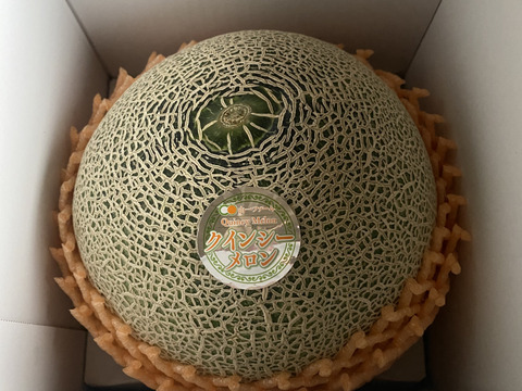 2024茨城メロン品評会グランプリ受賞👑クインシーメロン(5L特大1個入り)