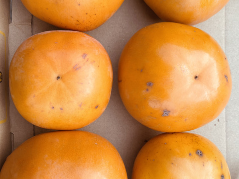 和歌山県オリジナル品種「紀州てまり」　
5箱限定出品