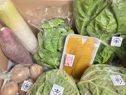 今夜限り
春のスペシャルセット
「菜の花」150gX4パック、「春のほうれん草」２００gX３パック
合計7パックで春をお届けします。
旬野菜１５００円詰合せセット　
旬野菜で食卓を飾って下さい