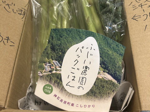 山育ち！柔らかな春芽のアスパラ（1kgミックスサイズ）