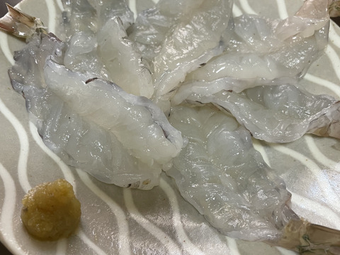 【漁師直送】足赤海老(クマエビ)色々サイズ《1kg=250g×4パック》小分けパック