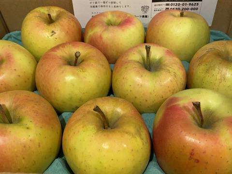 🎊1月23日から発送🎊【このりんごを嫌いな人はいますか？？】名月 3キロ箱 6玉〜15玉サイズ 商品ID44435 ぐんま名月 甘い 信州 リンゴ  幻 幻のリンゴ 予約 希少：長野県産のぐんま名月｜食べチョク｜産地直送(産直)お取り寄せ通販 - 農家・漁師から旬の食材を直送