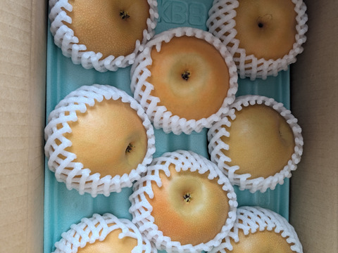 令和9年9月発送【予約】梨 南水 良品 3kg 長野県産 大好評‼️：長野県
