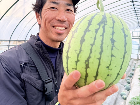 まるまる一個！ひとりじめ小玉スイカ 2個セット【ご家庭用】