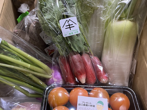 定期便設定（お届け日は２～３日前後します）【たっぷりいろいろ　２０００円セット】農家人が選ぶ旬野菜のおまかせセットです。季節ごとの旬の世界農業遺産ブランド野菜を厳選してお届け致します。