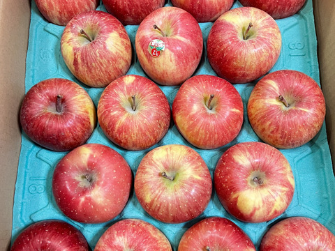 園主一押し!味をとことん突き詰めた青森りんご、“葉とらずサンふじ”　家庭用　約５kg　蜜入り期待大!　農家直送