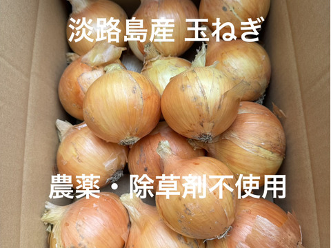 農薬、除草剤不使用！淡路島玉ねぎ5kg 【生で食べてみて！】加熱だけ