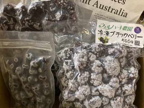 【栽培期間中　農薬不使用】加工用冷凍ブラックベリー500g×2パック