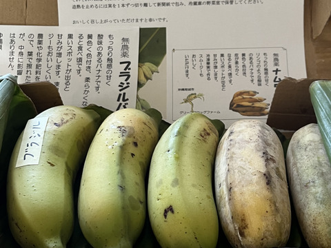 特別価格！】大人気！ブラジルバナナ＆ナムワバナナ計1kg：沖縄