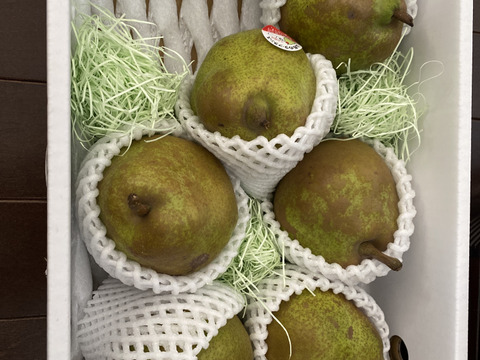 【訳あり、家庭用】ラフランス  サイズ混合　２キロ(6〜10玉)